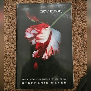 Wall Art with Red and White Floral Design